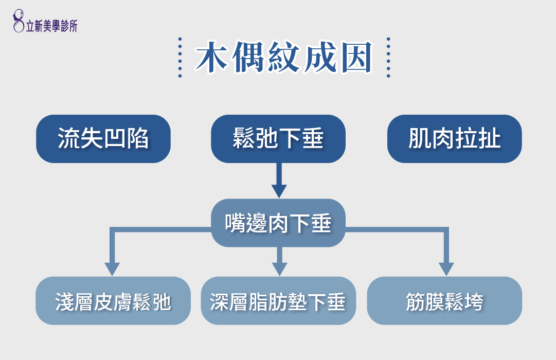 木偶紋成因:流失凹陷 鬆弛下垂 肌肉拉扯 嘴邊肉下垂 淺層皮膚鬆弛 深層脂肪墊下垂 筋膜鬆垮